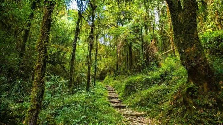 Fambong Lho Wildlife Sanctuary